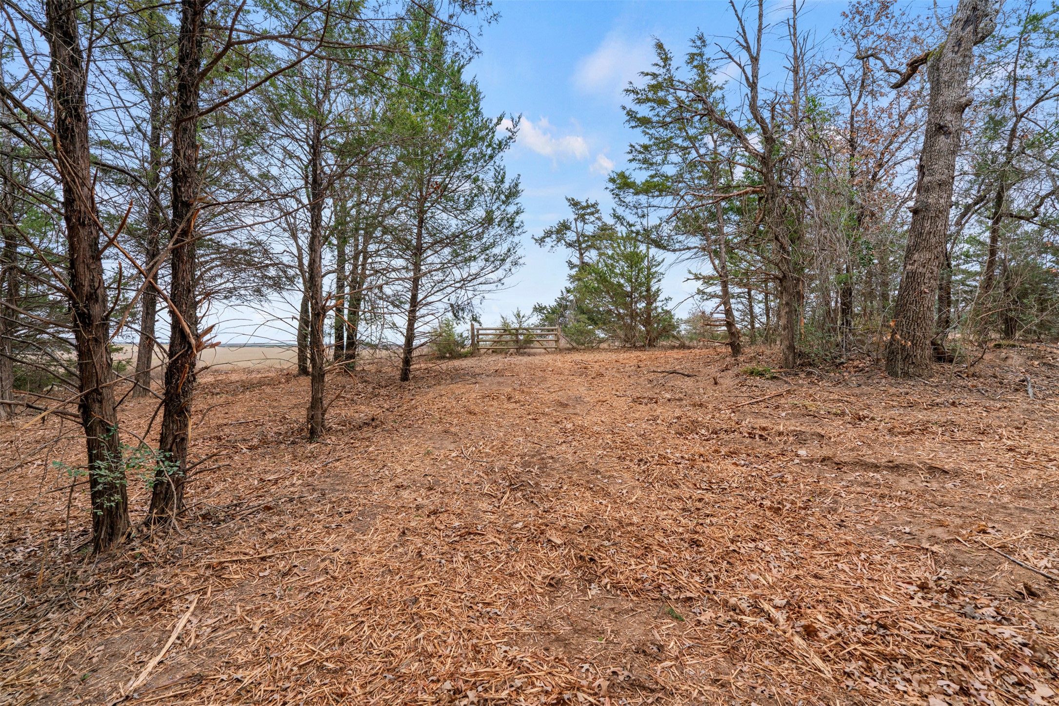 330 County Road 330 Milano, TX 76556 - Photo 3 of 13