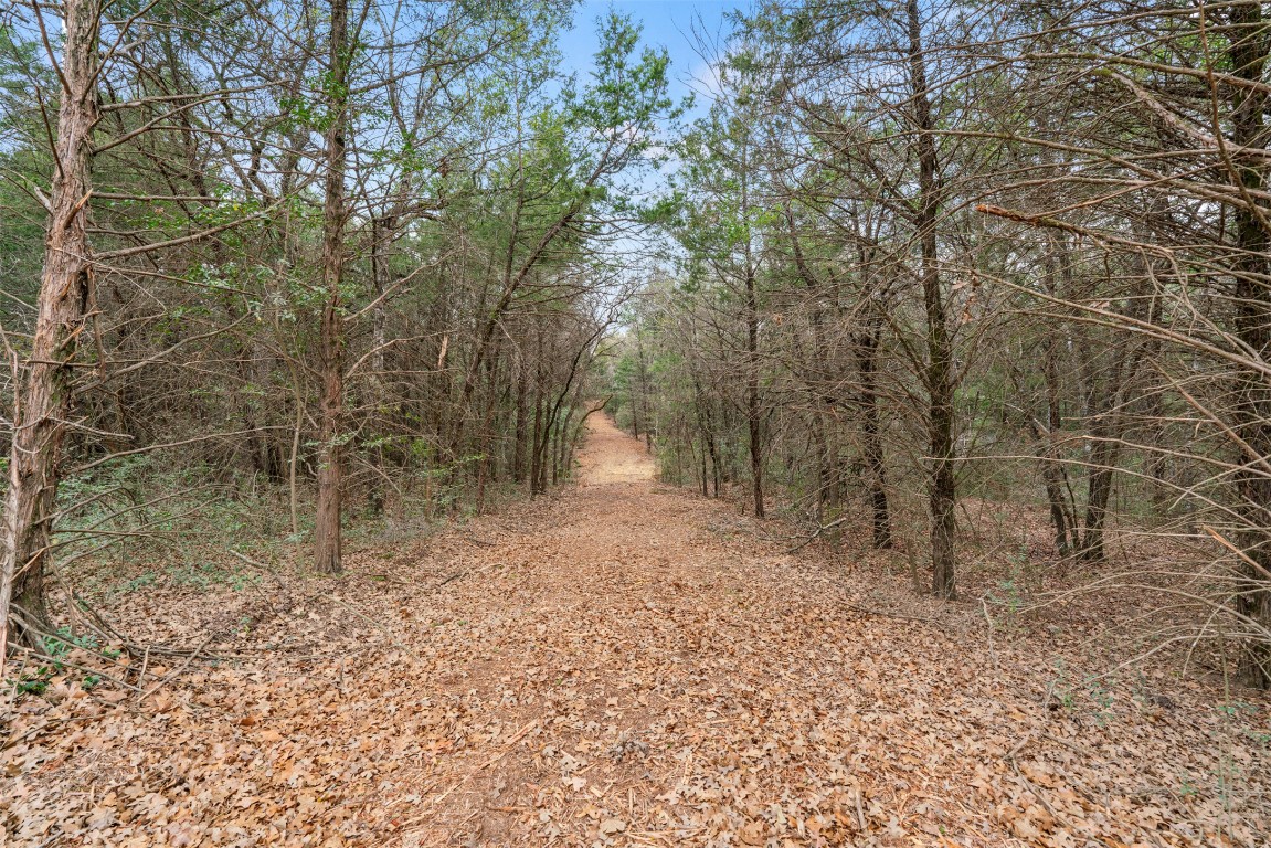 330 County Road 330 Milano, TX 76556 - Photo 4 of 14 a view of a forest with trees in the background