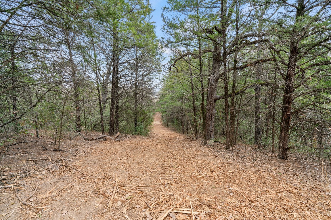 330 County Road 330 Milano, TX 76556 - Photo 6 of 14 a backyard of a house with lots of green space