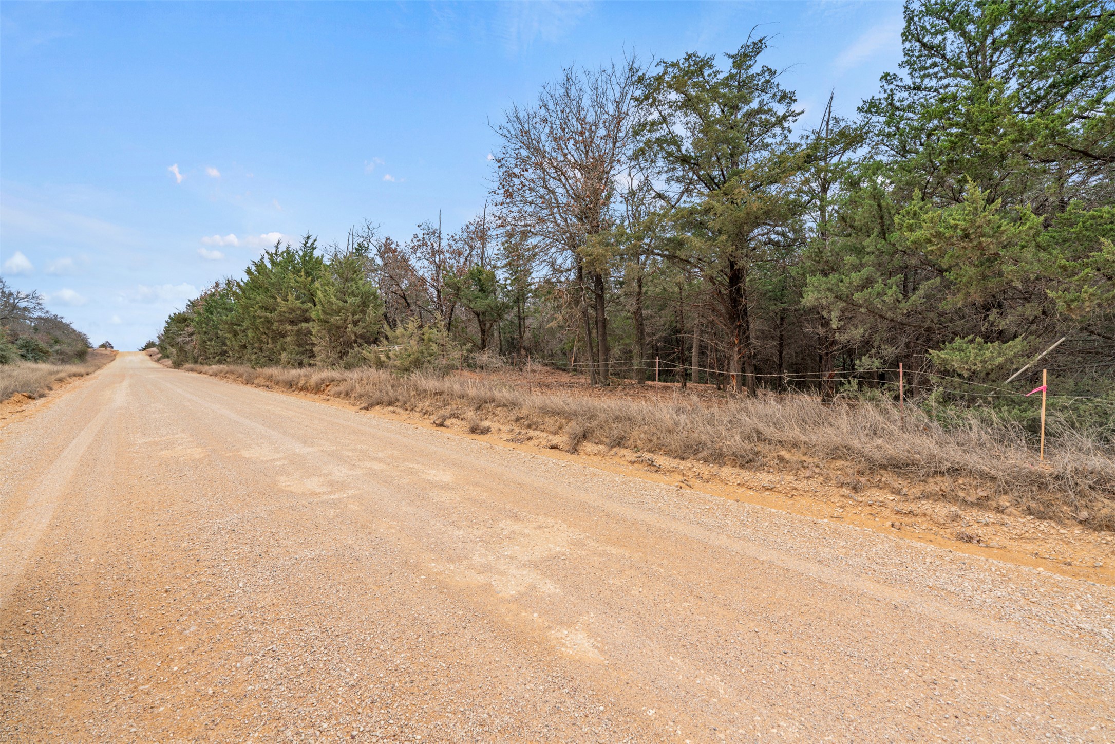 330 County Road 330 Milano, TX 76556 - Photo 6 of 13