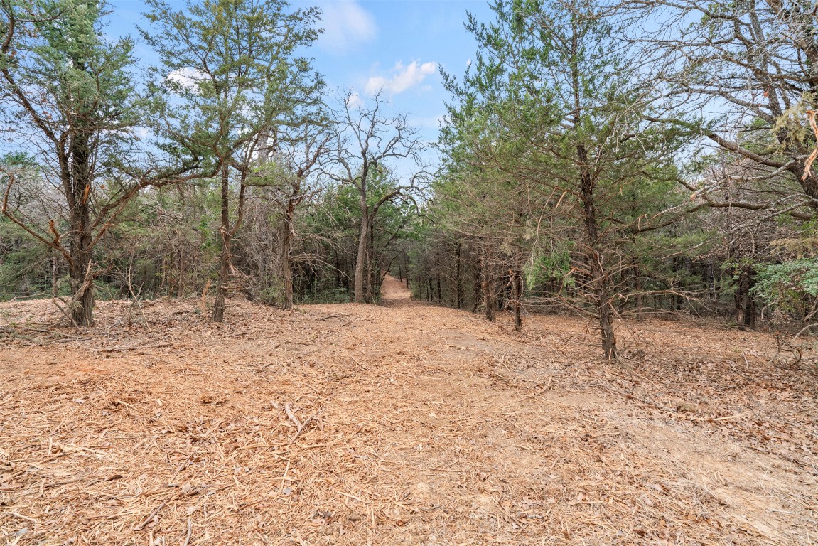 330 County Road 330 Milano, TX 76556 - Photo 7 of 14 a view of outdoor space with trees