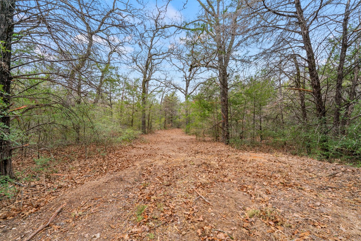 330 County Road 330 Milano, TX 76556 - Photo 8 of 14 a view of a yard with trees