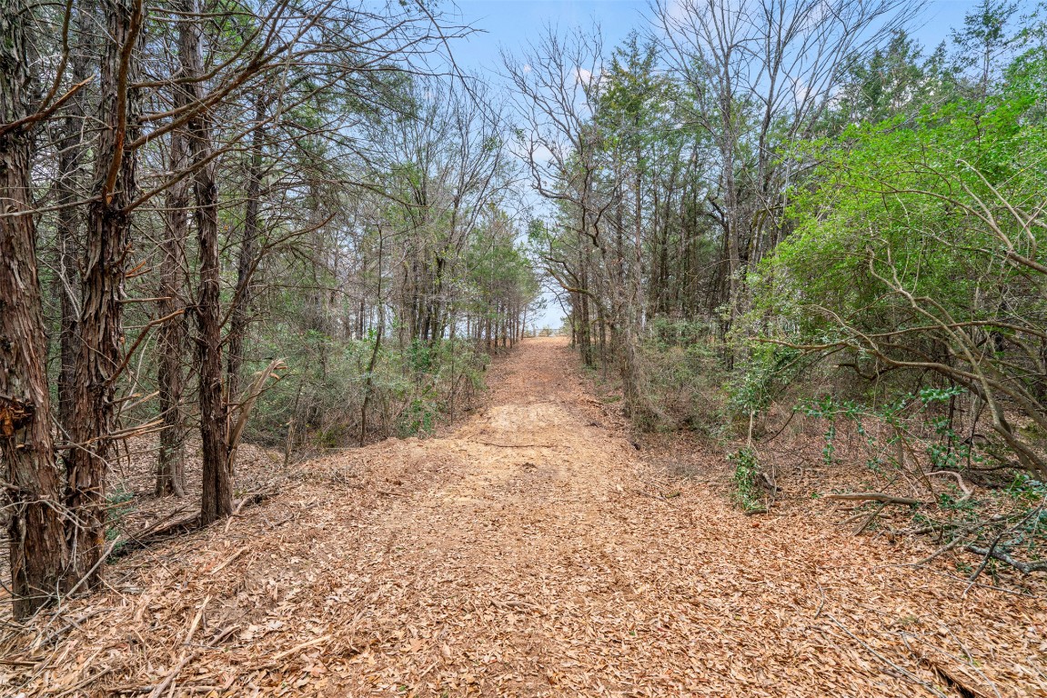 330 County Road 330 Milano, TX 76556 - Photo 10 of 14 a view of a yard with plants and trees