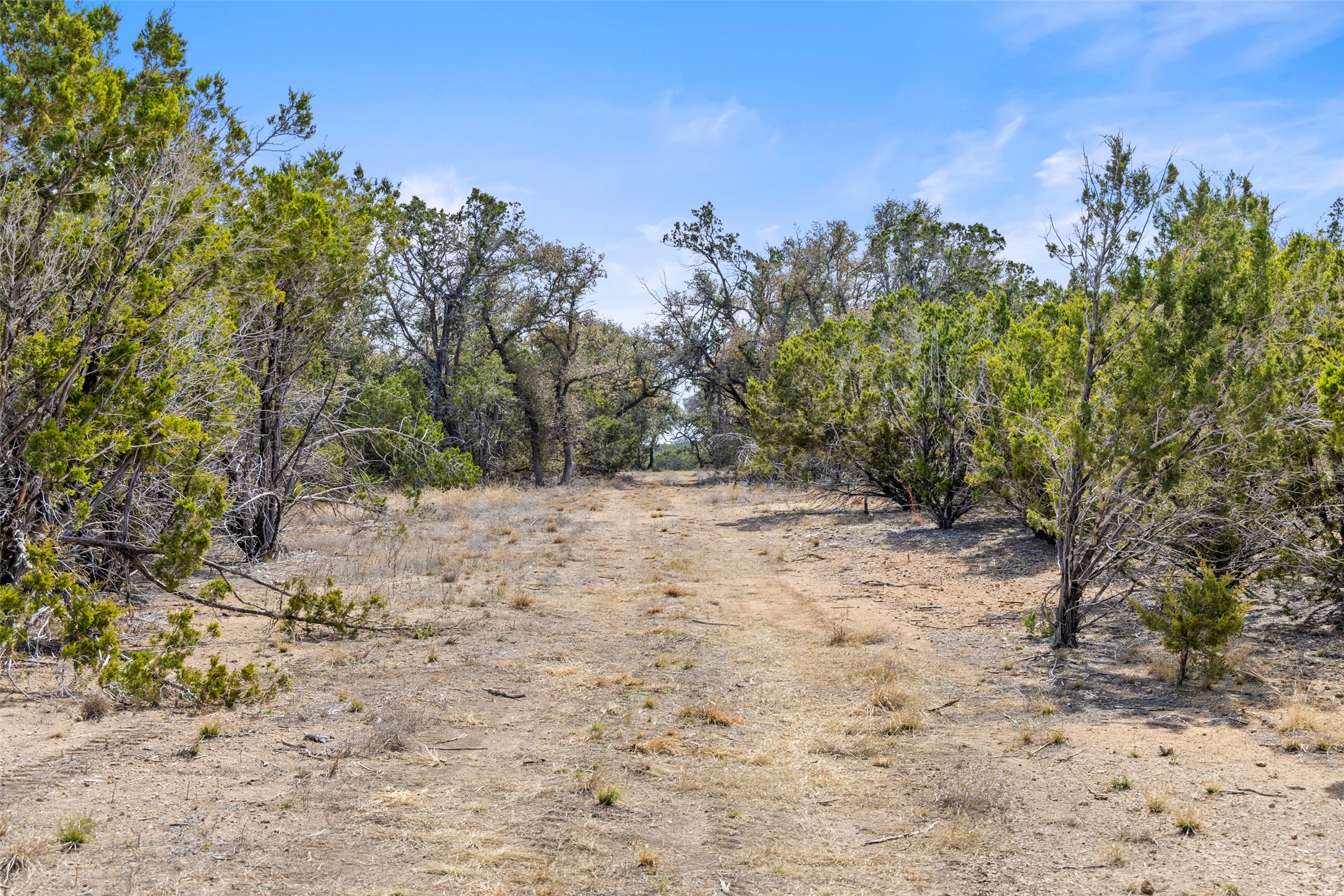 535 Becker Road Johnson City, TX 78636 - Photo 4 of 6 Discover a private, undeveloped parcel with a natural pathway winding through verdant trees.