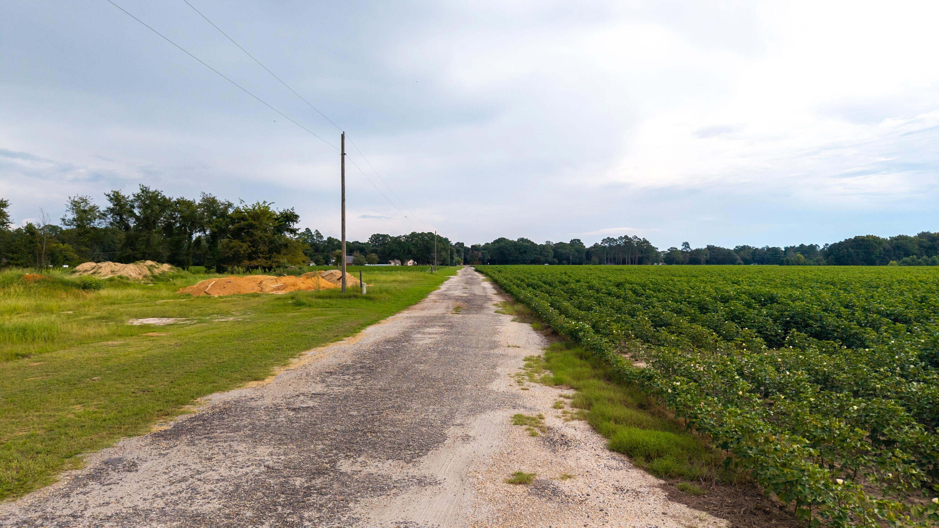 2985 Thadsfarm Road Sumter, SC 29153 - Photo 81 of 83 49