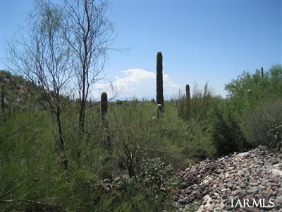 6870 North Cascade Spring Place Tucson, AZ 85718 - Photo 21 of 22