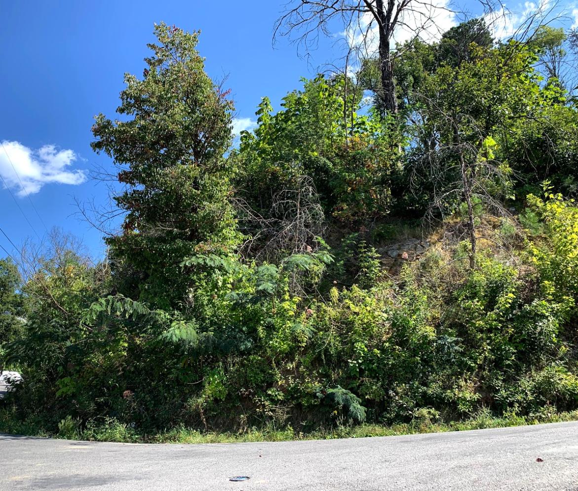 951 Village Loop Road Gatlinburg, TN 37738 - Photo 8 of 8 Screen Shot 2019-09-17 at 4.38.50 PM