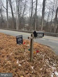 a view of a street with a bench and trees
