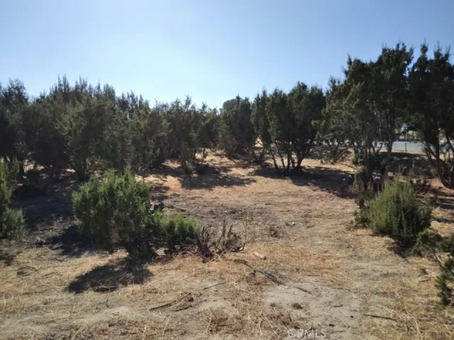 a view of outdoor space with trees all around