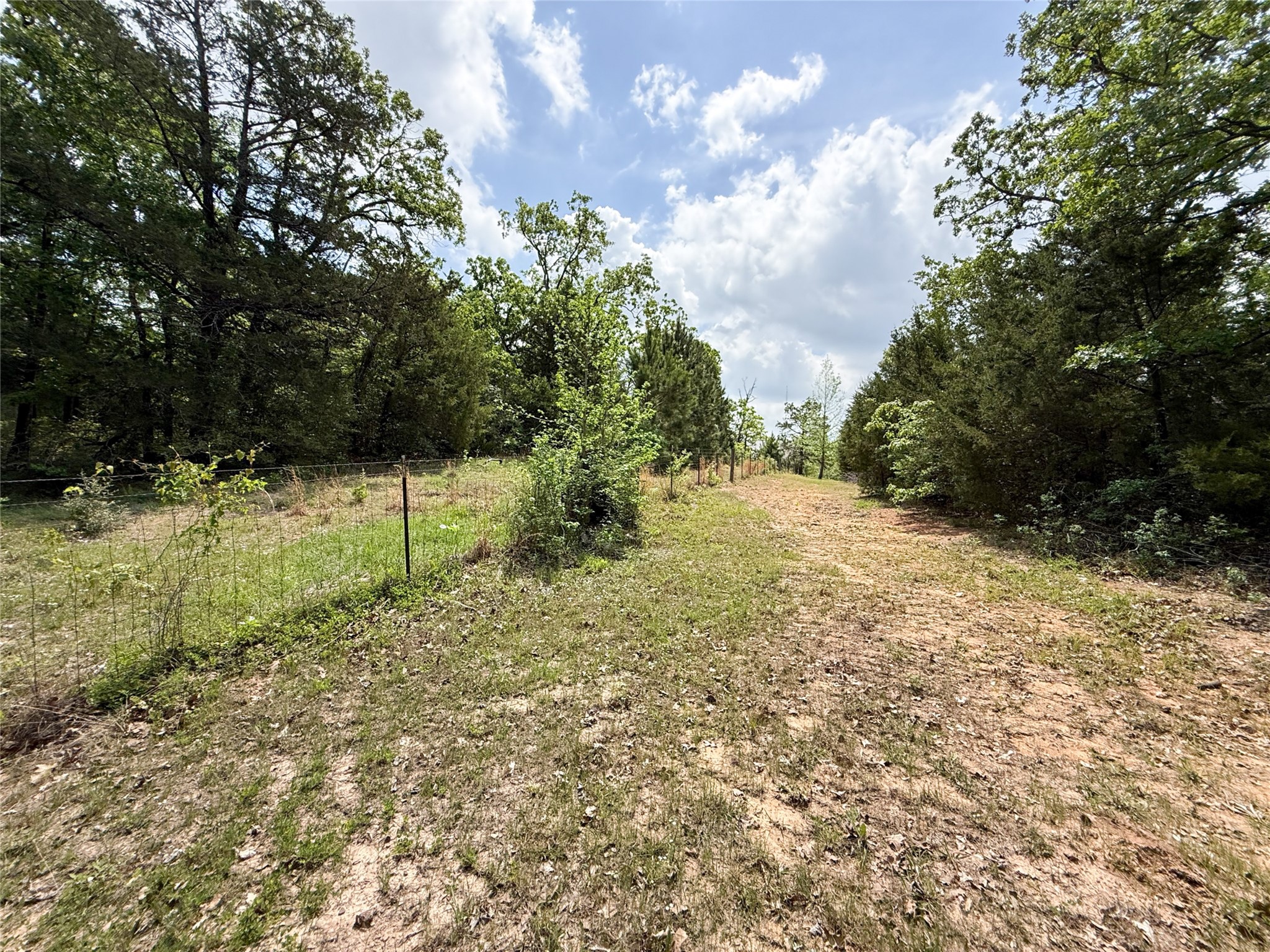 740 Bridget Avenue Buffalo, TX 75831 - Photo 15 of 50 a view of backyard with green space