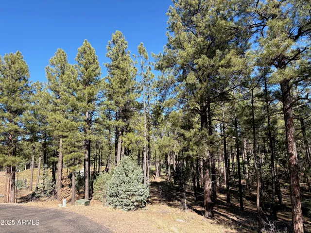 $350,000 | 3680 Sage Lane, Unit 260, Show Low, AZ 85901