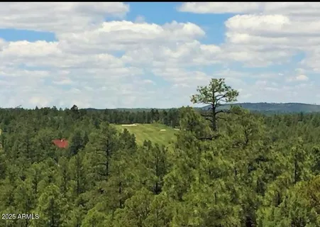 a view of a bunch of trees