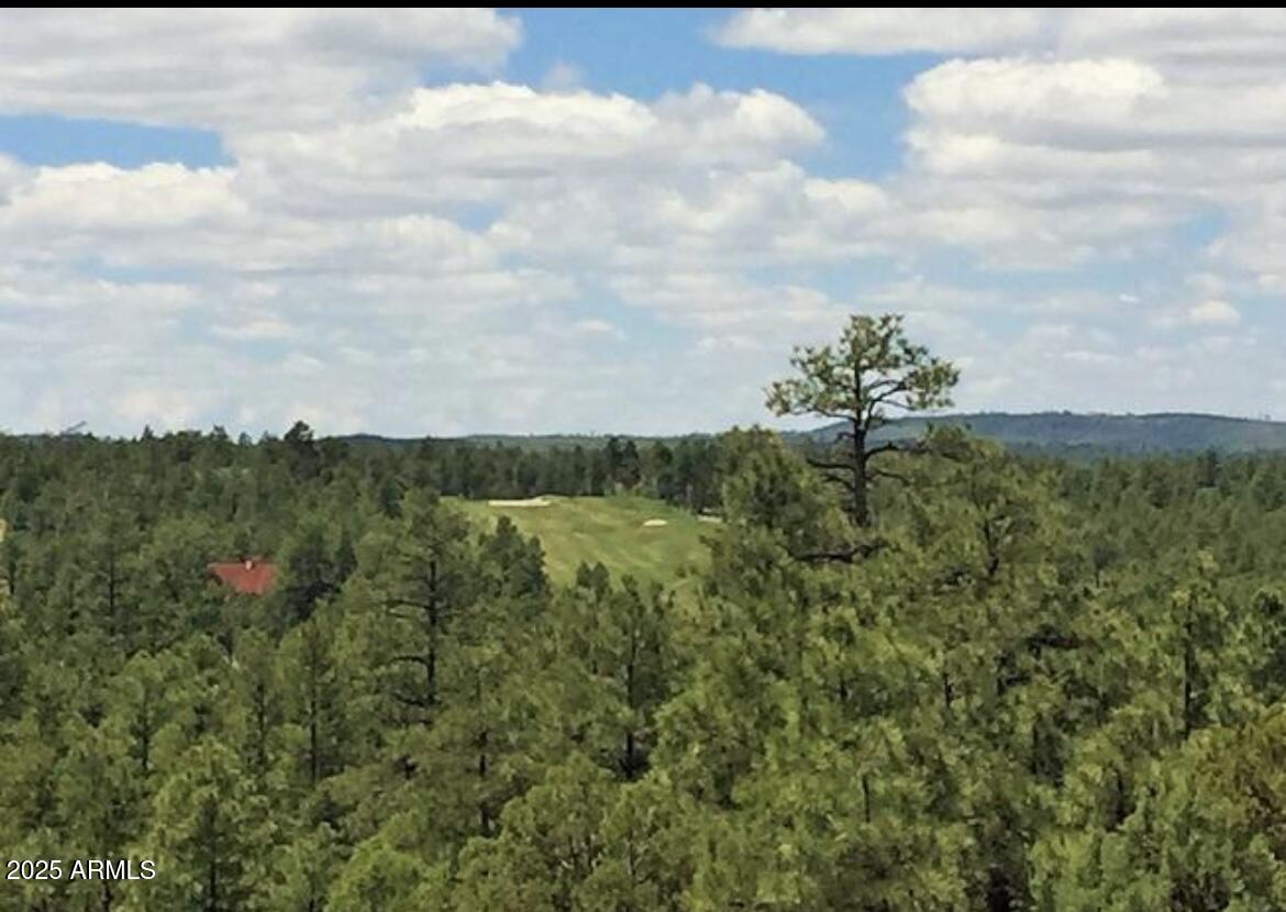 3680 Sage Lane, Unit 260 Show Low, AZ 85901 - Photo 2 of 6 a view of a bunch of trees