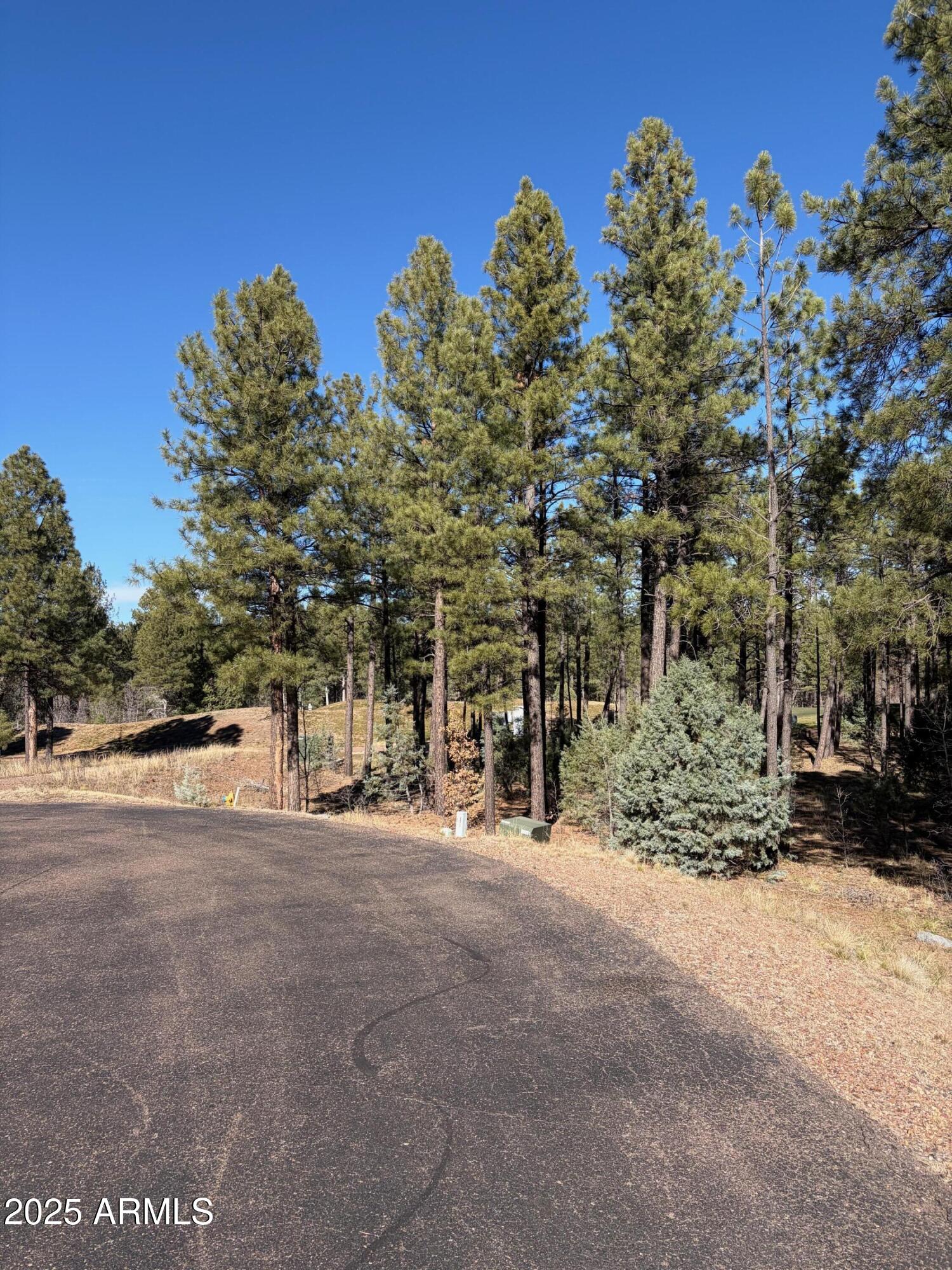 3680 Sage Lane, Unit 260 Show Low, AZ 85901 - Photo 4 of 6 a view of a road with a building in the background