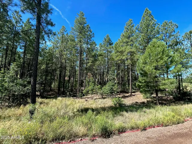 $350,000 | 3680 Sage Lane, Unit 260, Show Low, AZ 85901