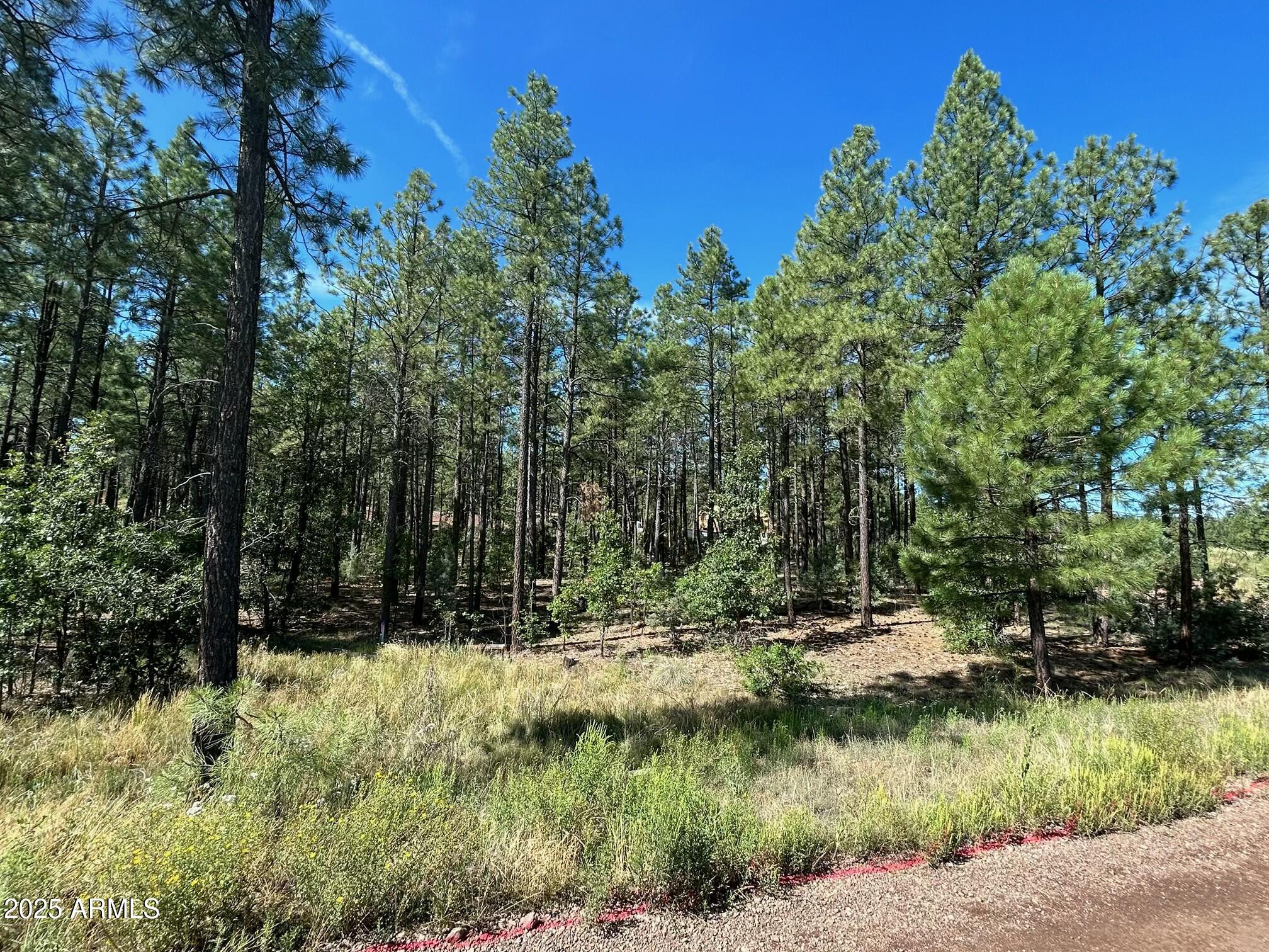 3680 Sage Lane, Unit 260 Show Low, AZ 85901 - Photo 6 of 6 a view of backyard with green space