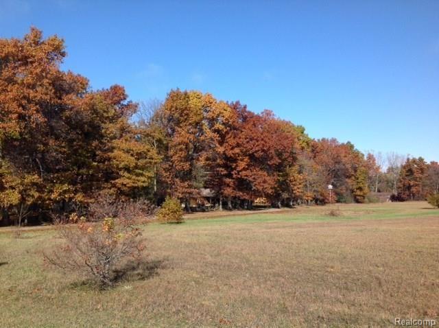 3219 Marathon Road Columbiaville, MI 48421 - Photo 37 of 39 Fall5.jpg