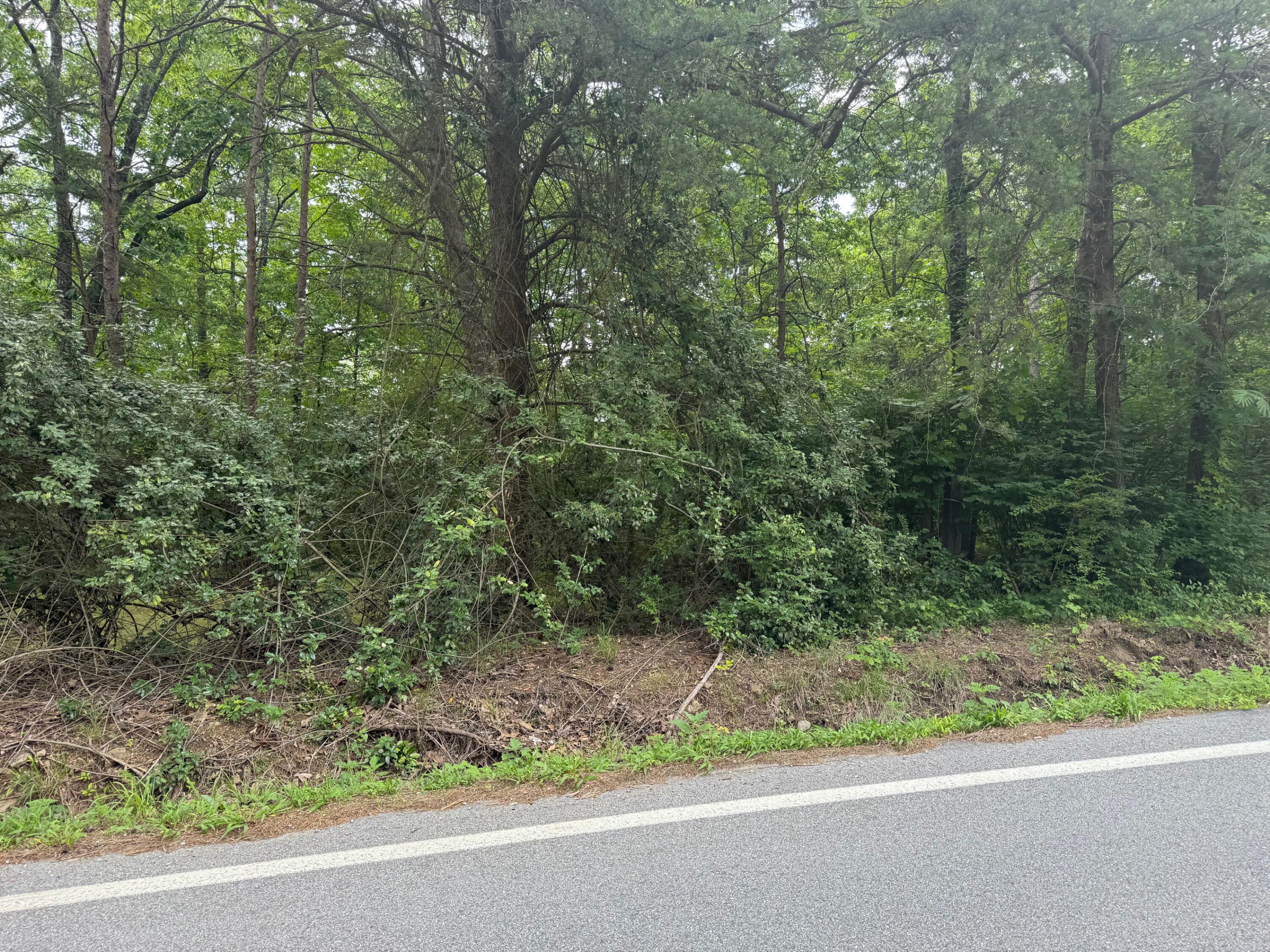 2738 Corral Road Signal Mountain, TN 37377 - Photo 1 of 1 IMG_5720