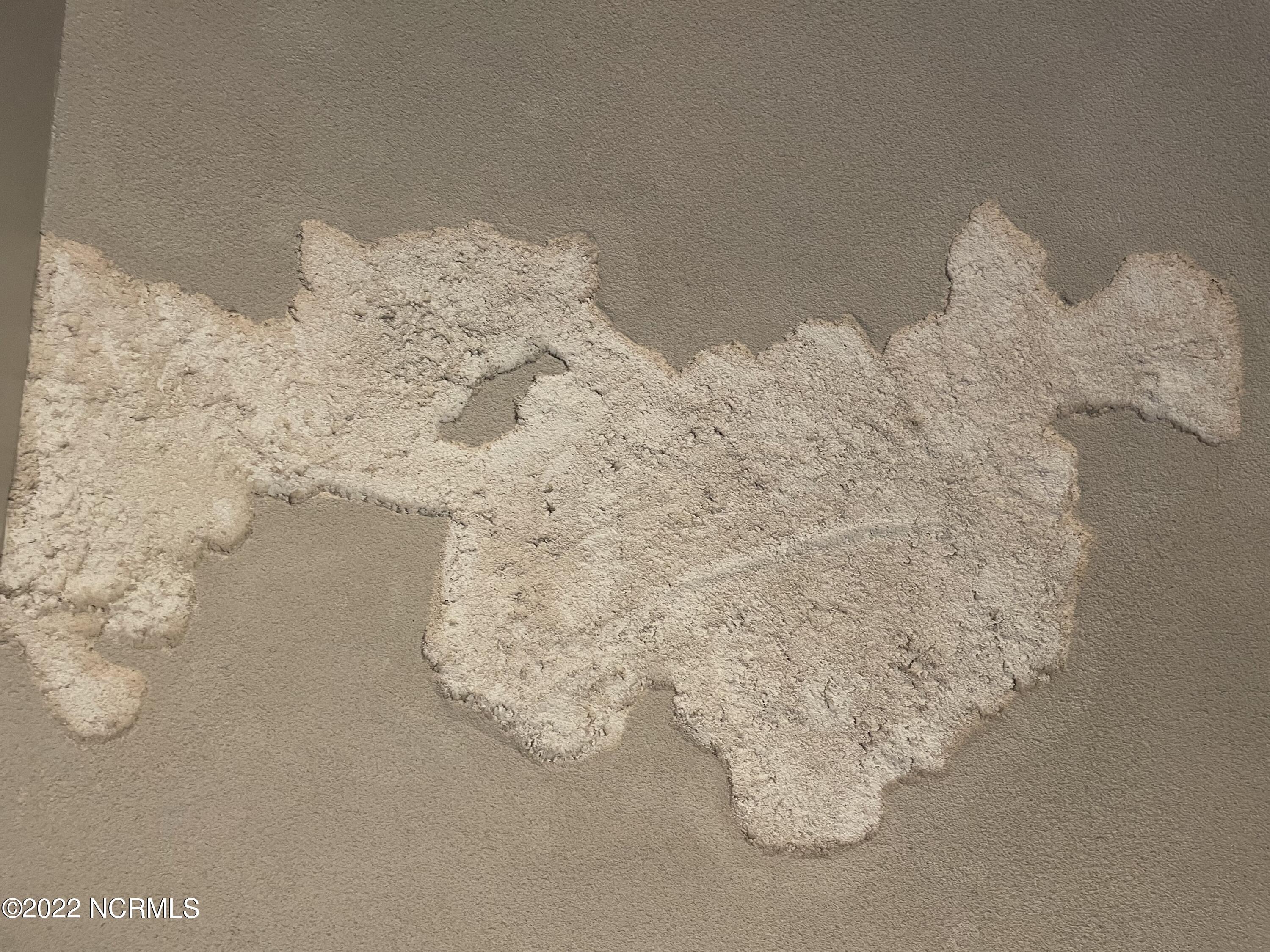 120 Pinebluff Lake Road Pinebluff, NC 28373 - Photo 39 of 40 "Skip's Cloud" on master bathroom ceiling is NOT A DEFECT.