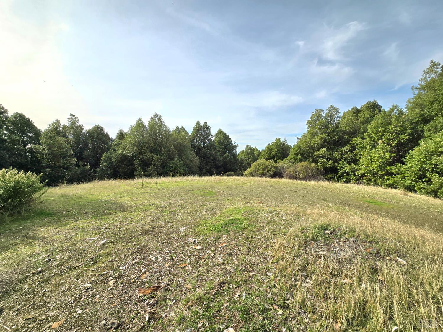 36955 Eureka Stagecoach Road Willits, CA 95490 - Photo 42 of 46 a view of outdoor space and yard