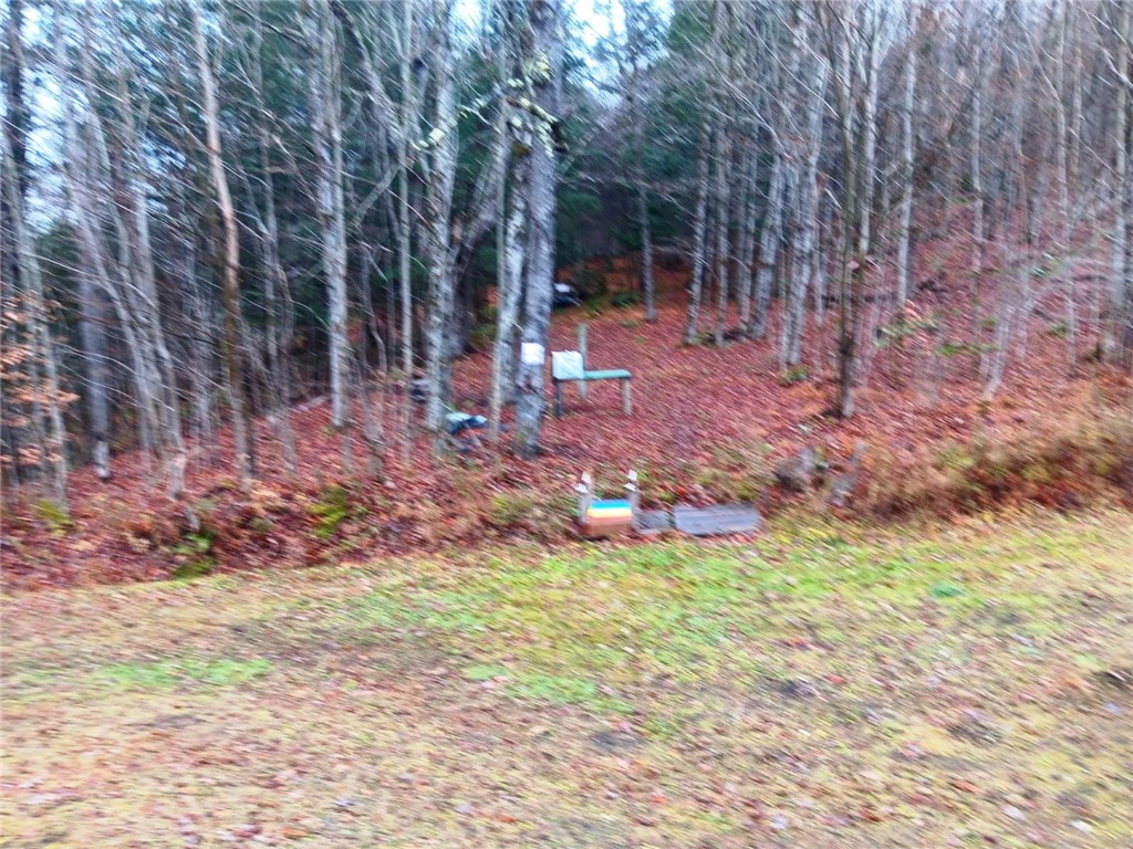 575 Hollenbeck Road Worcester, NY 12197 - Photo 3 of 8