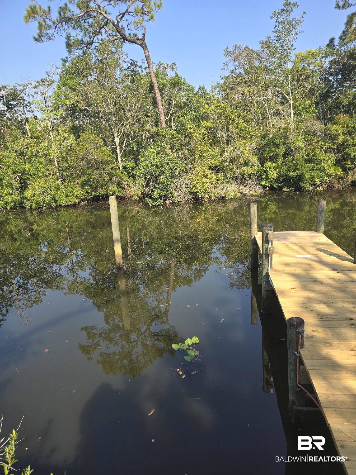 4055 Riviere Du Chien Road Mobile, AL 36693 - Photo 48 of 63 View of dock featuring a water view
