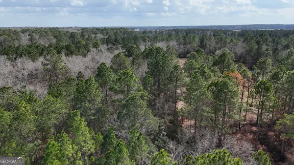 an aerial view of forest