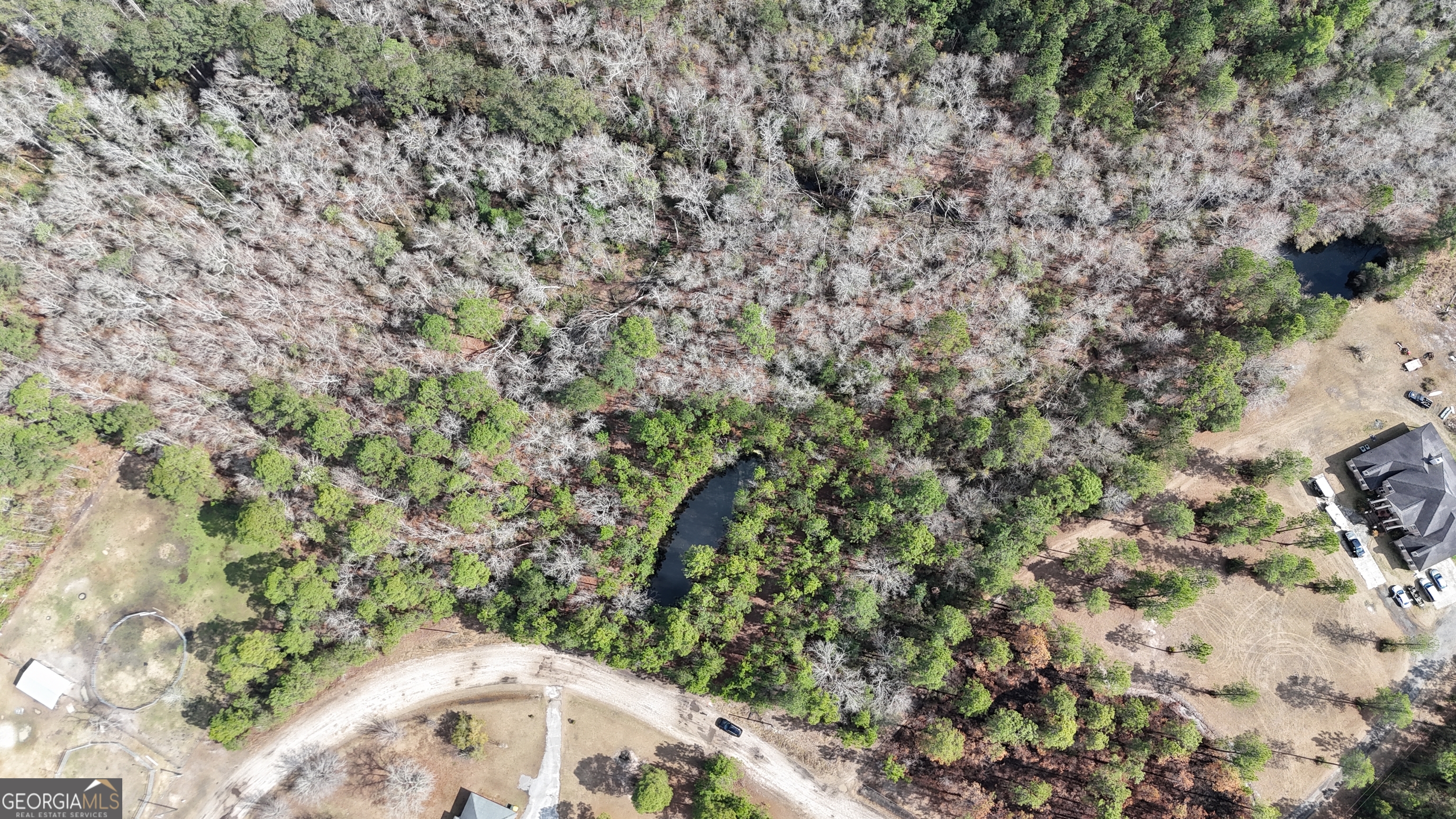75 Lila Lane Pembroke, GA 31321 - Photo 7 of 7 a view of a yard with a sink