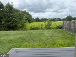 a view of a yard with an trees