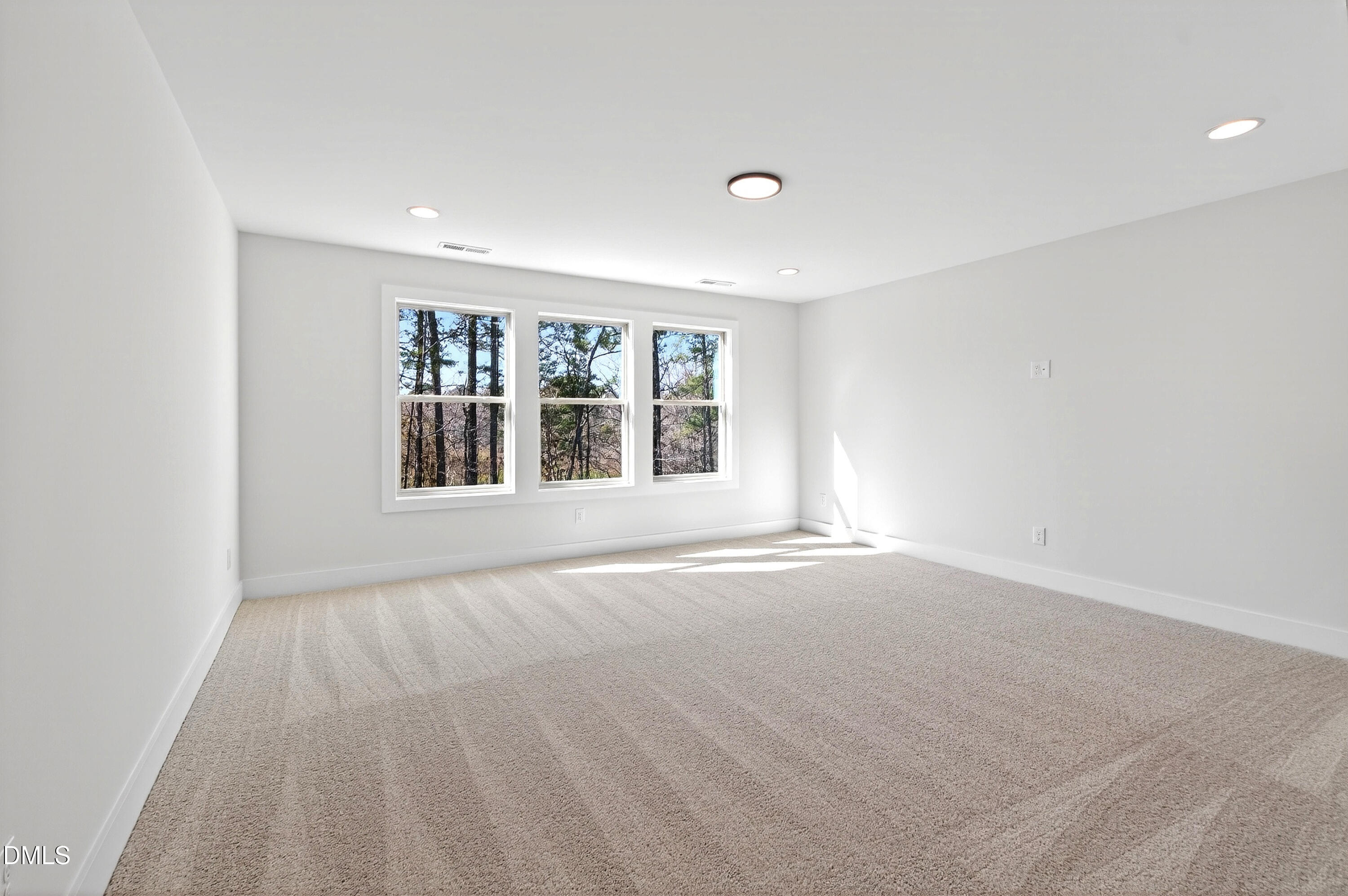 976 Double Helix Road Apex, NC 27523 - Photo 31 of 50 976 Helix (43)