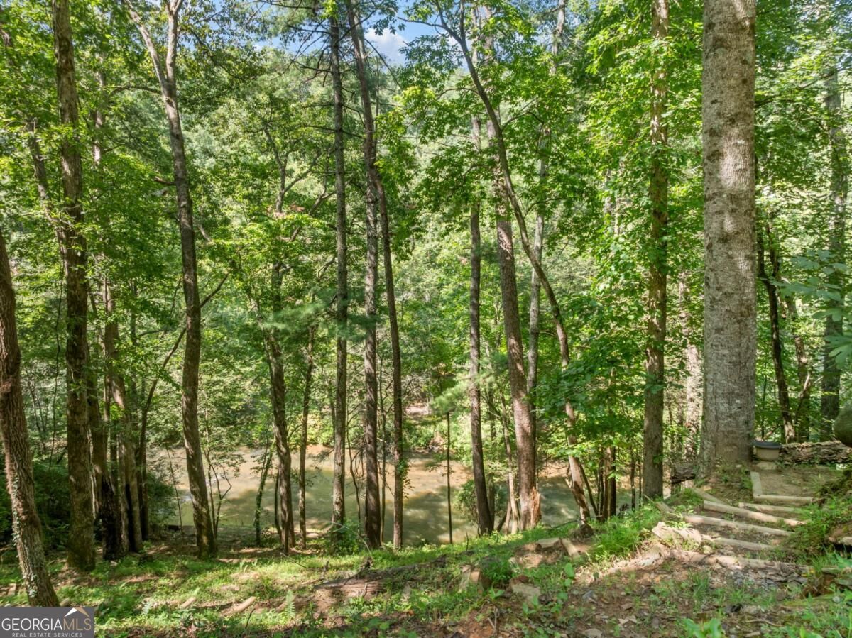509 Ponderosa Road Ellijay, GA 30540 - Photo 40 of 48 Gallery Image 40