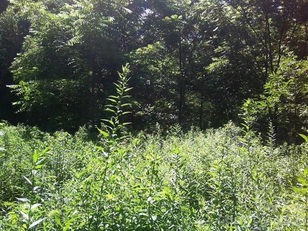 3771 Highway 421 Vilas, NC 28692 - Photo 12 of 18 a backyard of a house