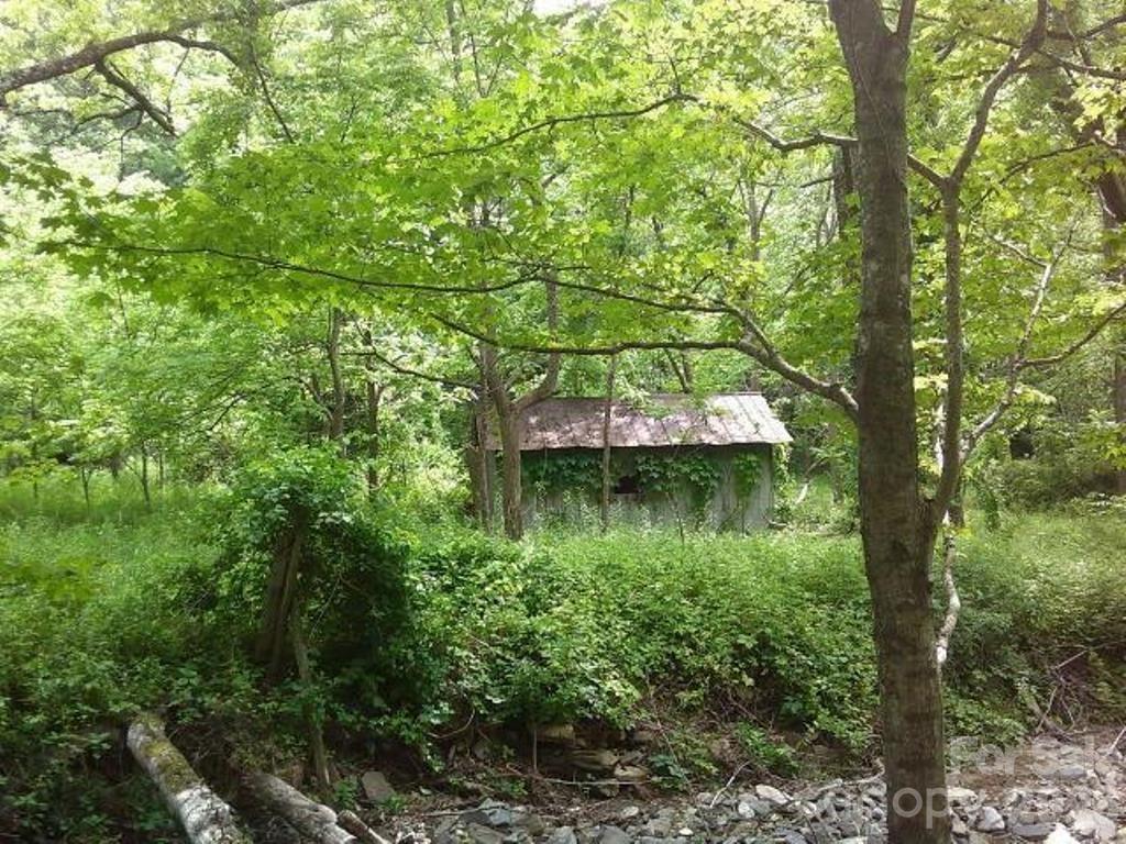 3771 Highway 421 Vilas, NC 28692 - Photo 16 of 18 a view of lake with green space