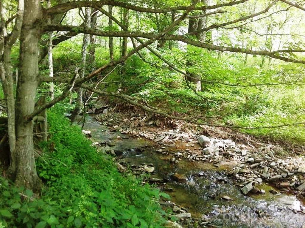 3771 Highway 421 Vilas, NC 28692 - Photo 3 of 18 a view of a tree