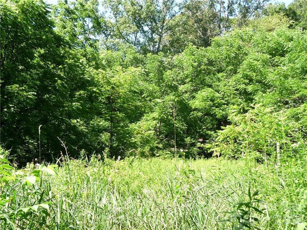 3771 Highway 421 Vilas, NC 28692 - Photo 5 of 18 a view of a garden