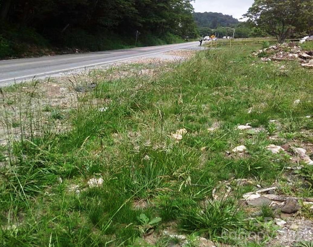 3771 Highway 421 Vilas, NC 28692 - Photo 10 of 18 a view of a yard