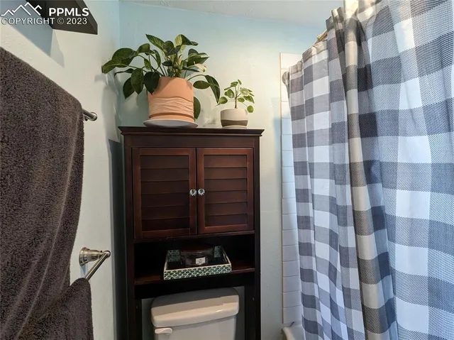 a close view of a sink a mirror and a potted plant
