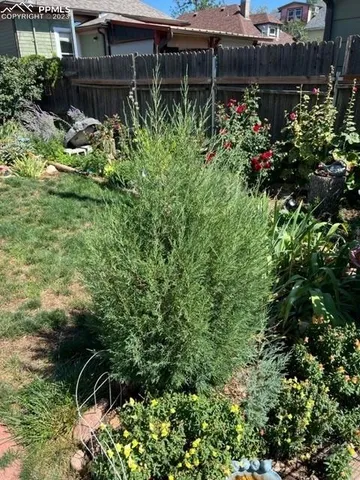 a view of a pool with a dining table and chairs