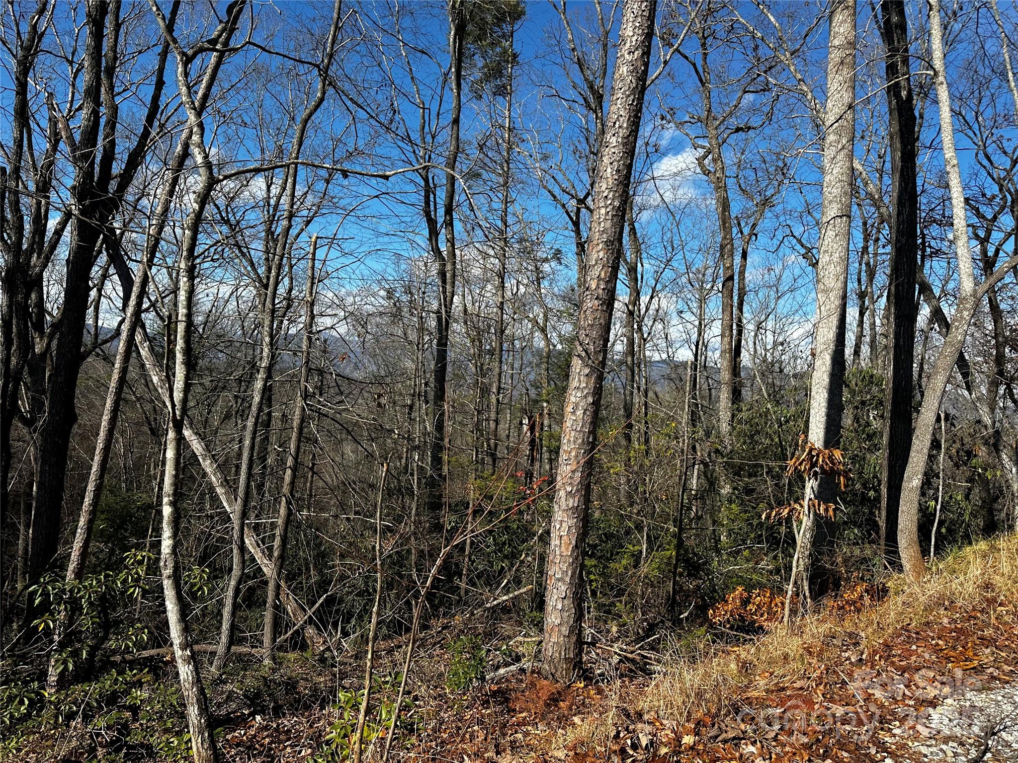 182 Warren Ridge Drive, Unit 7 Old Fort, NC 28762 - Photo 11 of 19 a view of a yard