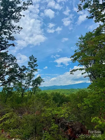 a view of a tree in a backyard of a house