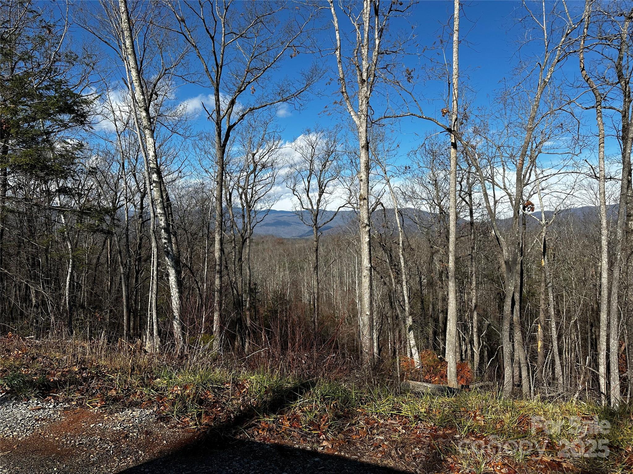 182 Warren Ridge Drive, Unit 7 Old Fort, NC 28762 - Photo 5 of 19 a backyard of a house with lots of green space