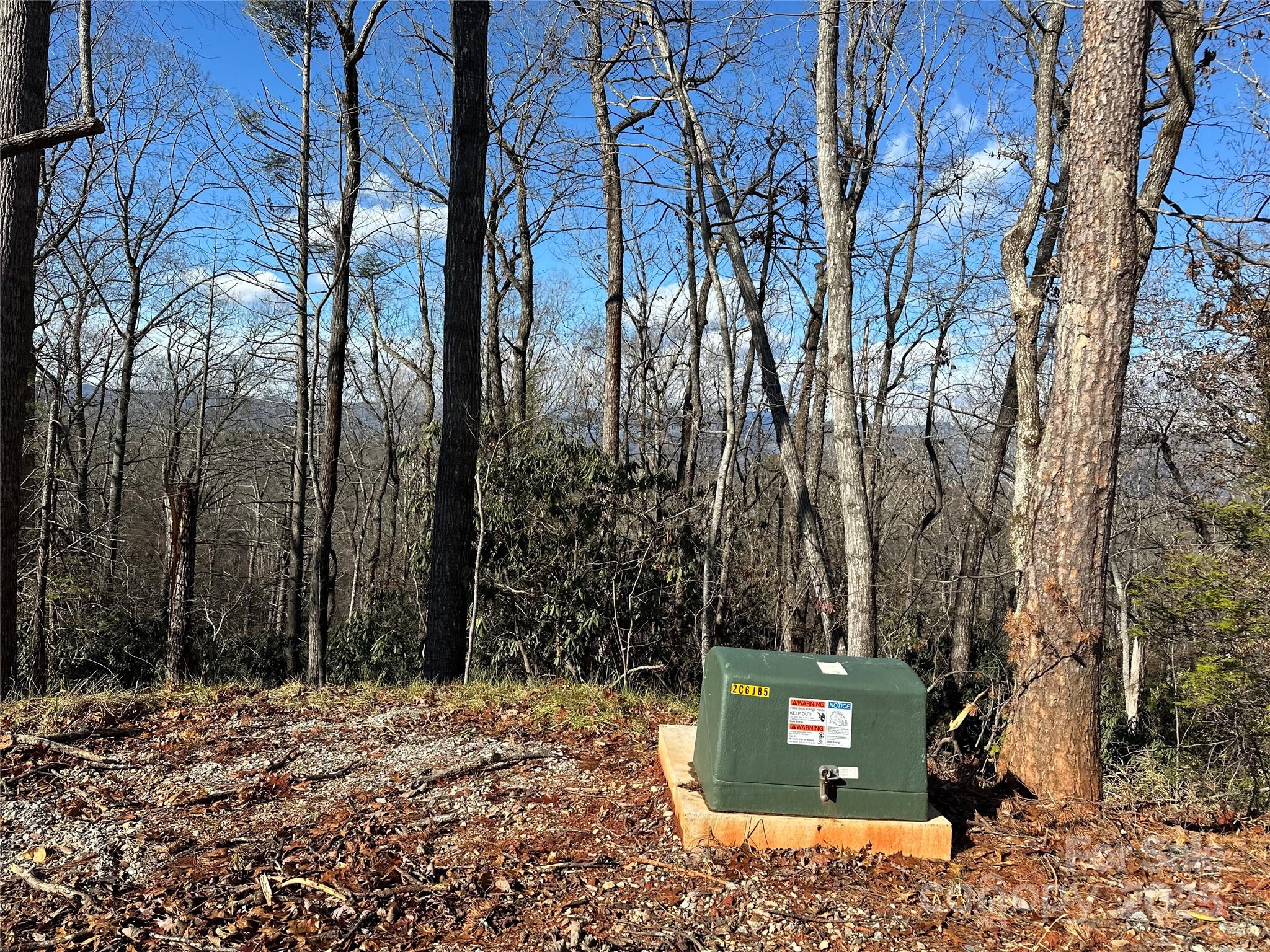 182 Warren Ridge Drive, Unit 7 Old Fort, NC 28762 - Photo 10 of 19 a view of outdoor space with a large tree