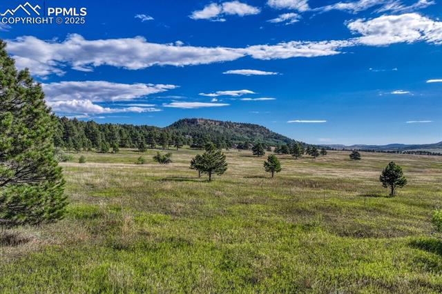 Perry Park Road Larkspur, CO 80118 - Photo 48 of 50 Gallery Image 48