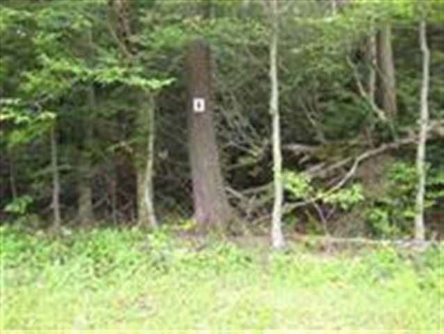 5 Lake Road Delanson, NY 12053 - Photo 3 of 6 Photo 3