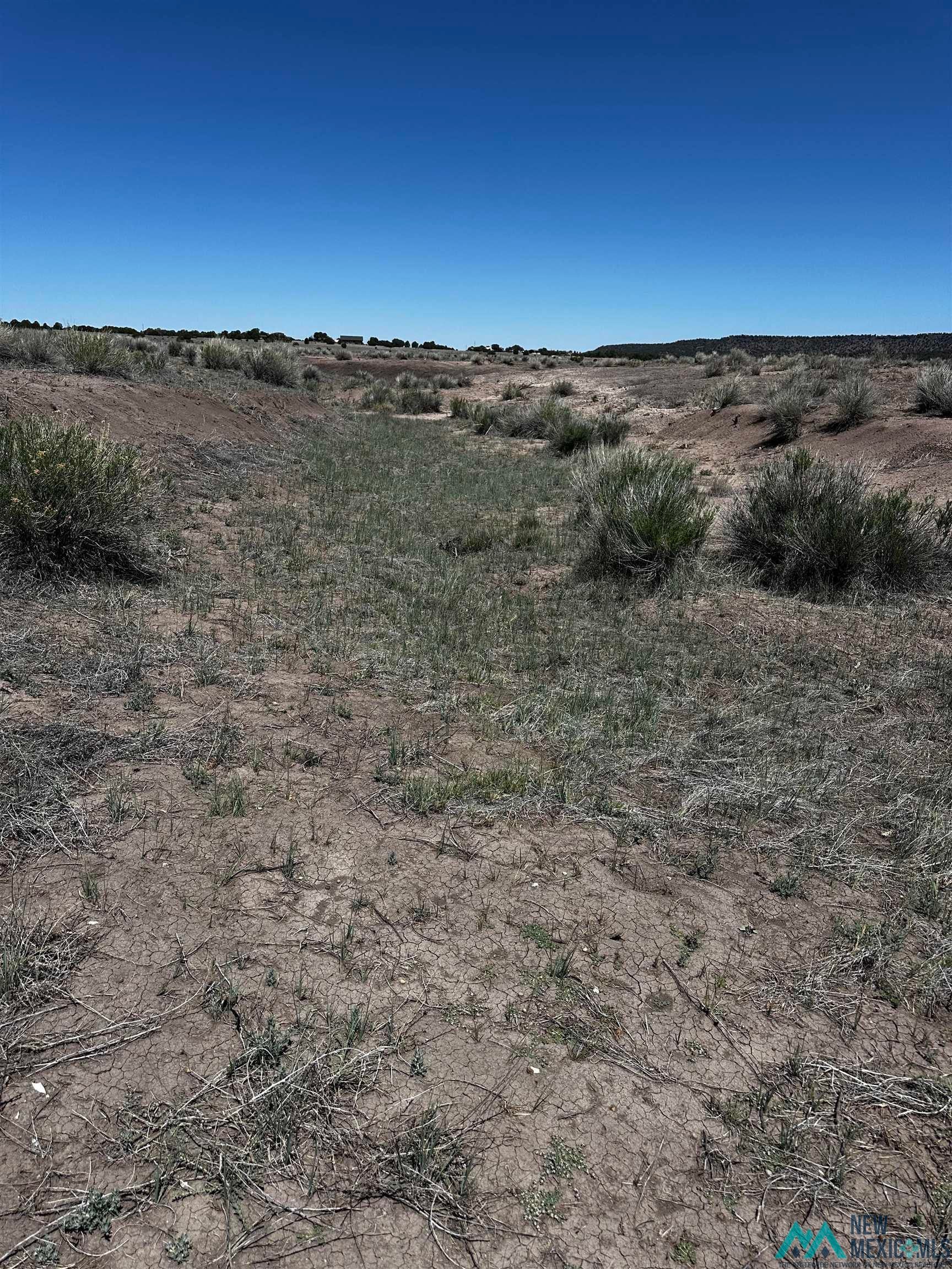37 Airport Road Quemado, NM 87829 - Photo 1 of 6