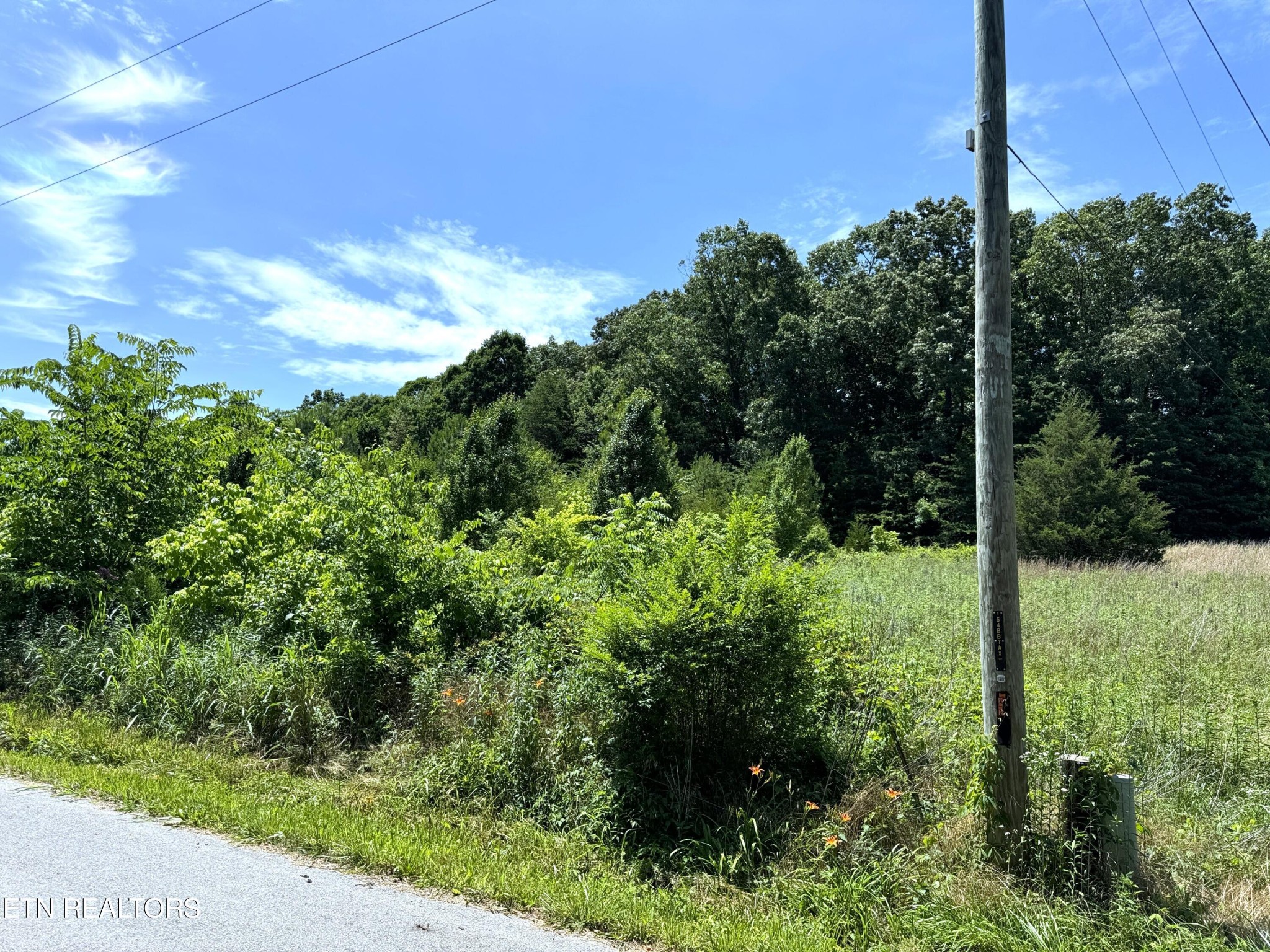 5 Stagecoach East Road Greeneville, TN 37743 - Photo 1 of 6 Gallery Image 1