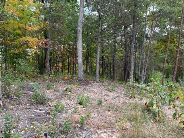 2315 High Top Loop Sevierville, TN 37862 - Photo 11 of 12 IMG_0649 (1)