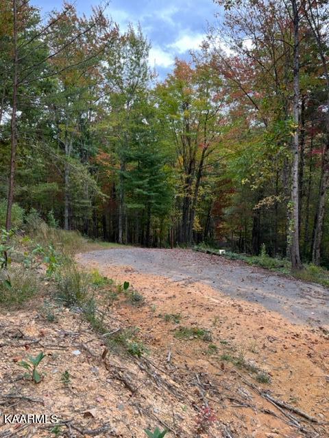 2315 High Top Loop Sevierville, TN 37862 - Photo 12 of 12 IMG_0650