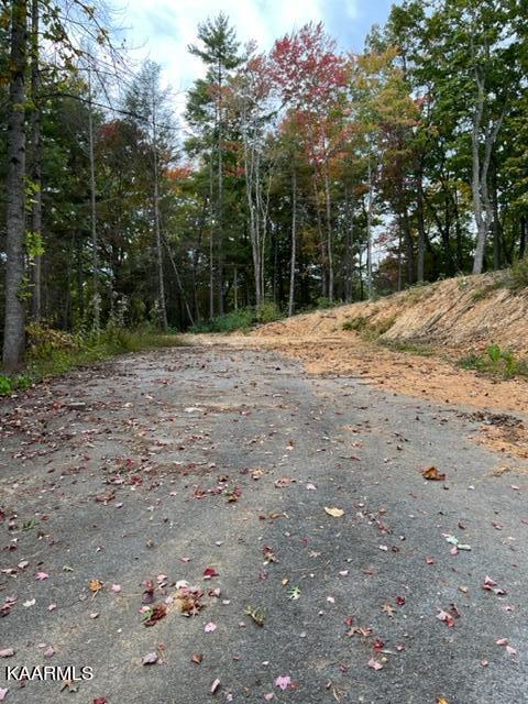 2315 High Top Loop Sevierville, TN 37862 - Photo 2 of 12 IMG_0636