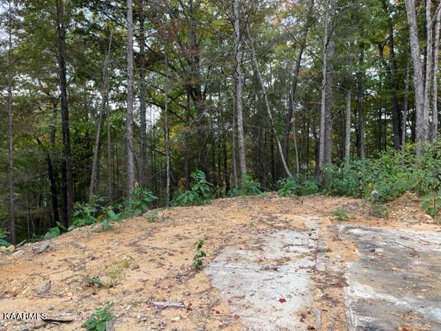 2315 High Top Loop Sevierville, TN 37862 - Photo 3 of 12 IMG_0638